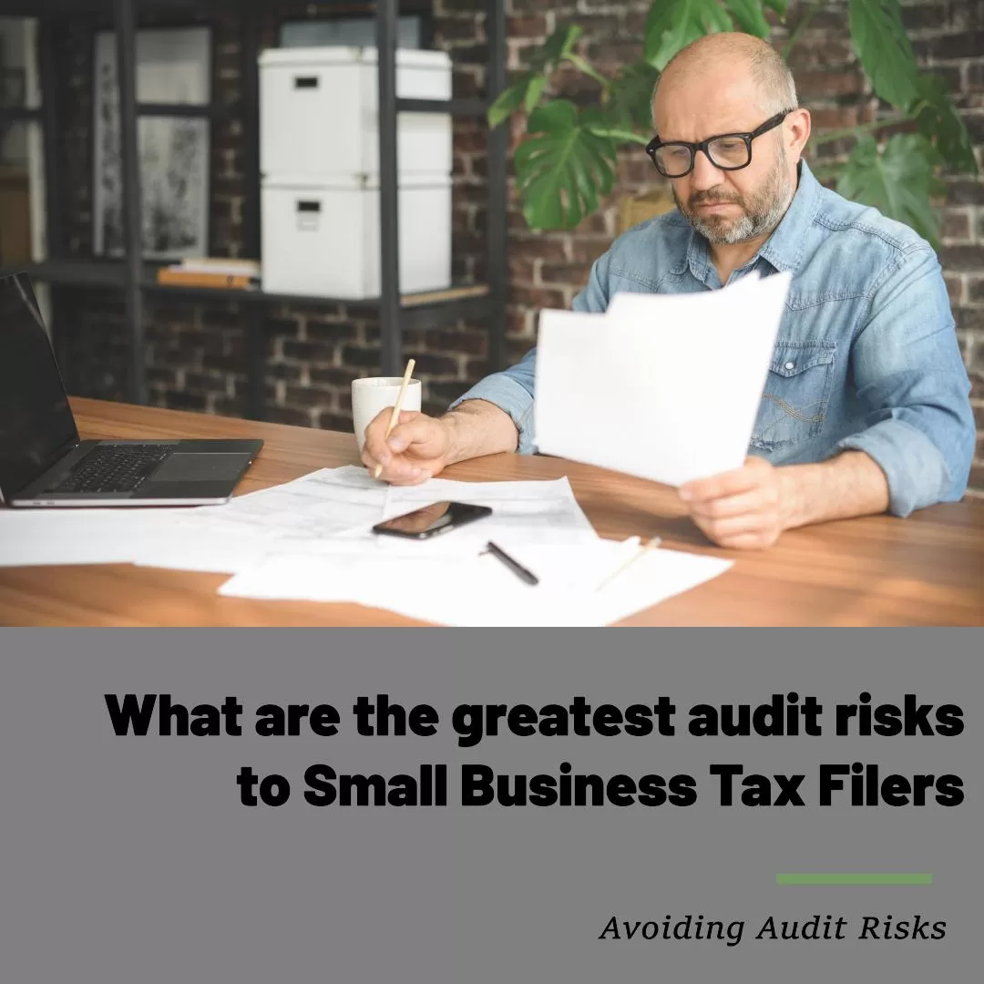 What are the greatest audit risks to small business tax filers?