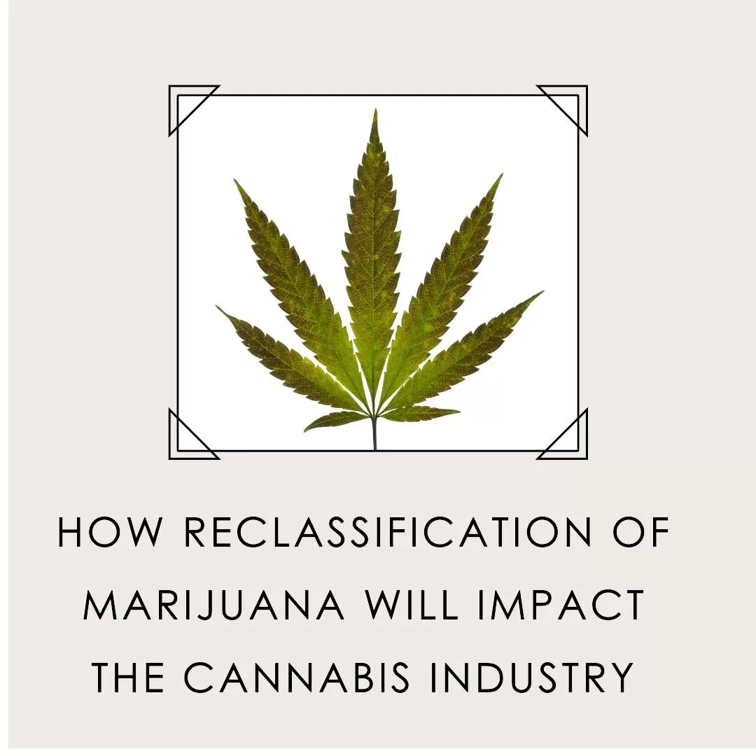 What Reclassification of Marijuana Means to the Cannabis Industry